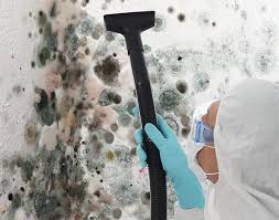 Forensic Mold Investigation in Catahoula, LA